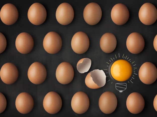 les-qualites-dun-nom-de-marque-performant